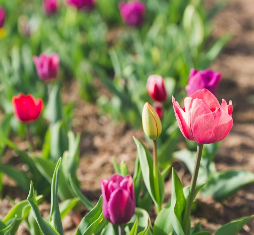 Capture d’écran 2025-11-16 171924
