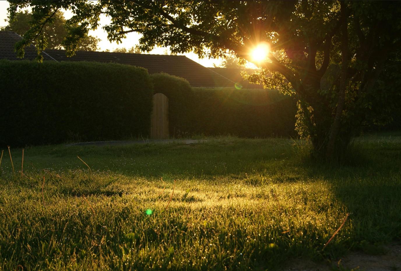 Capture d’écran 2025-10-18 144701